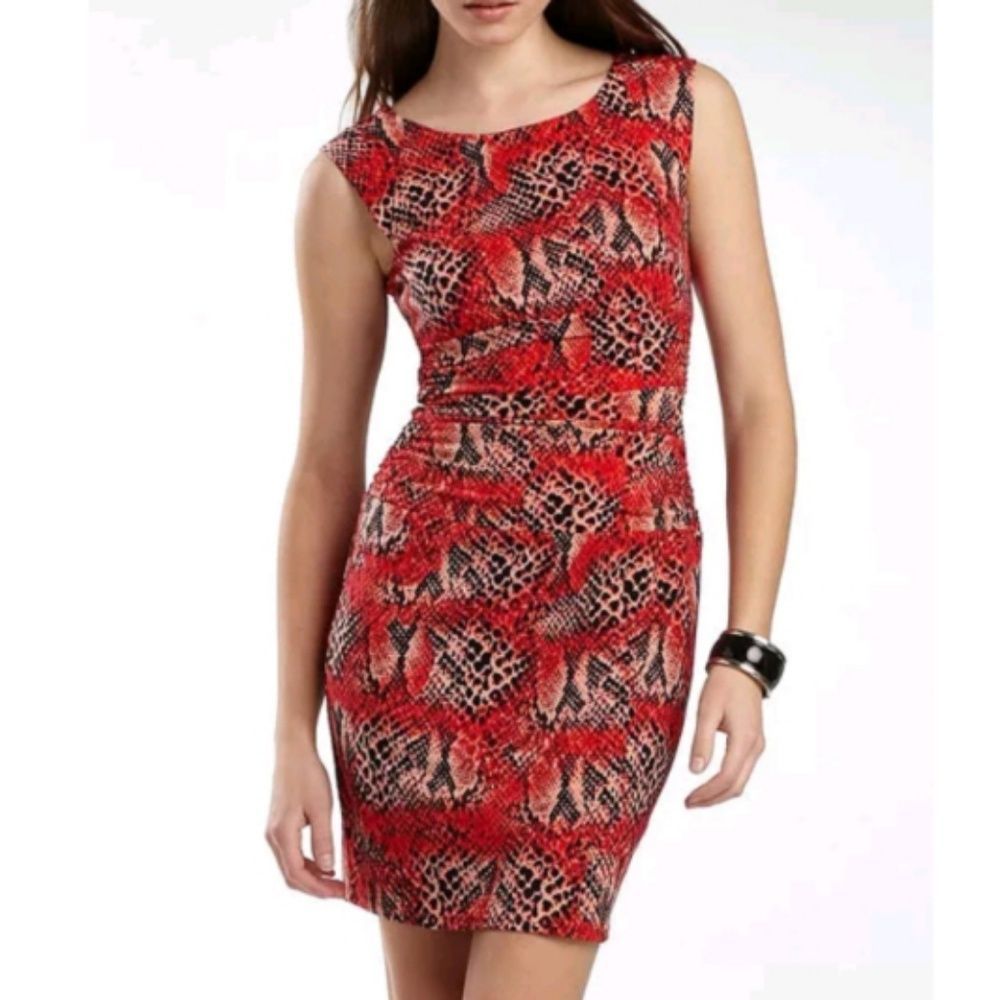 Ruched Animal Print Dress Size 4